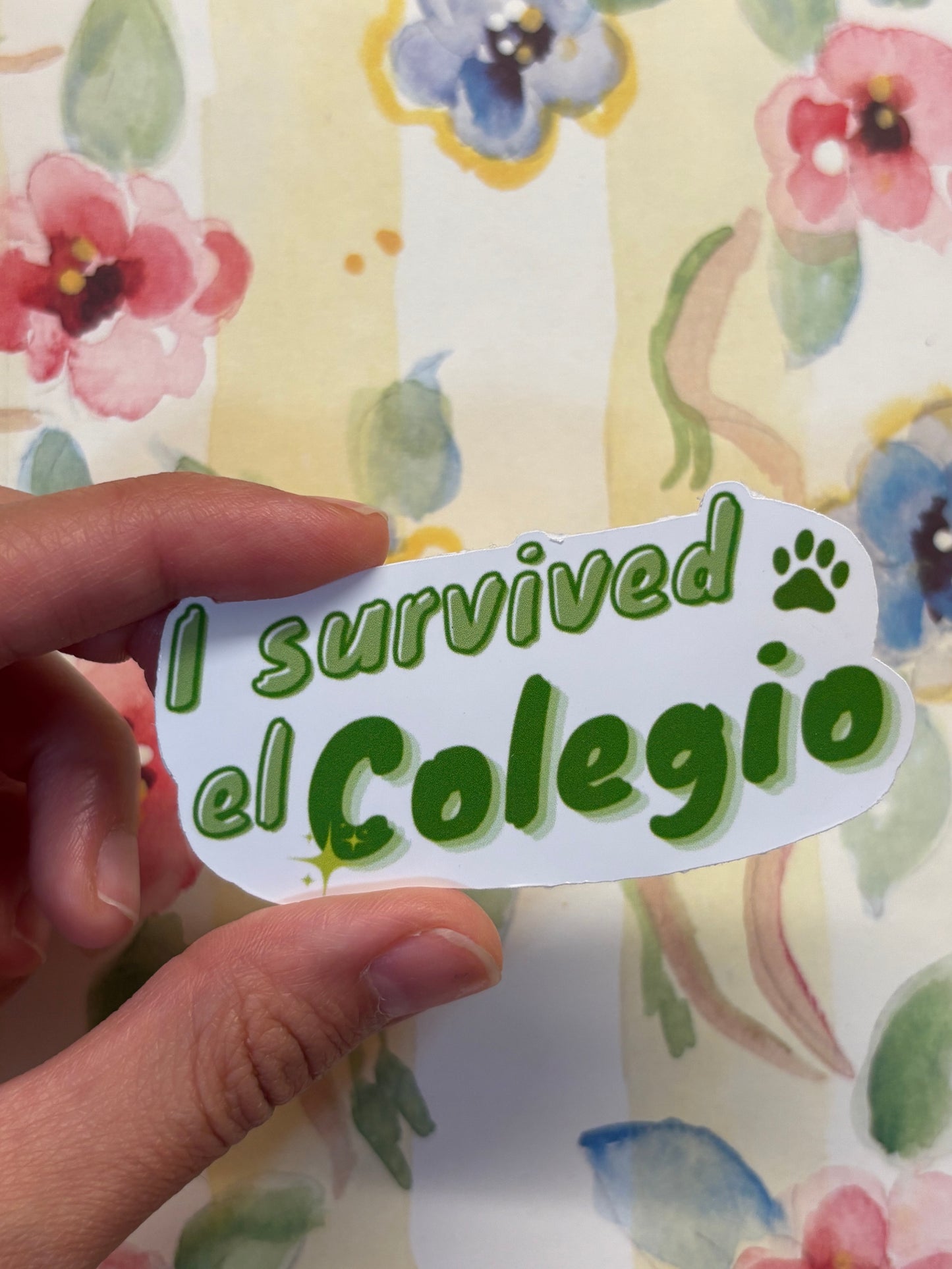 I survived el Colegio✨